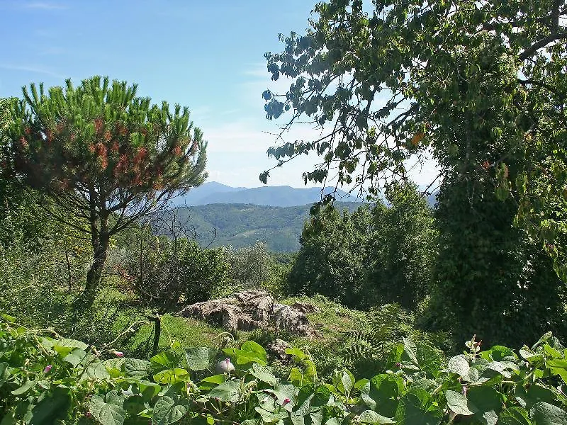 L'Anticiana - Two Bedroom Lucca 2*,  Italy
